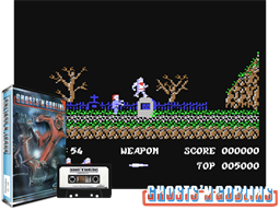 Ghosts'n Goblins